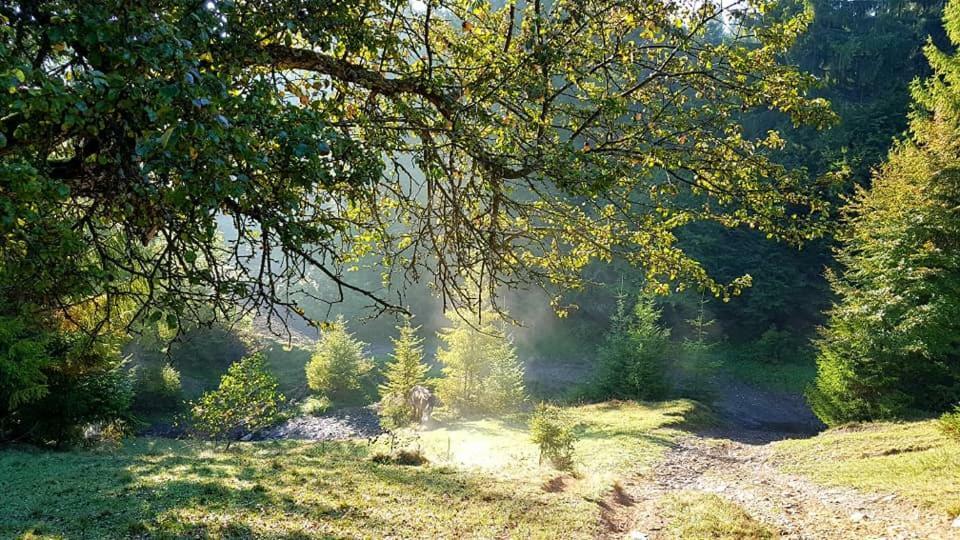 فندق Spravzhnya Kazka بودوبوفيست المظهر الخارجي الصورة